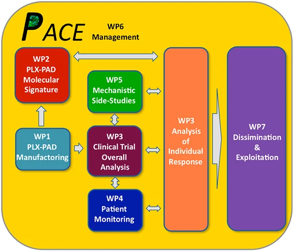 schema
