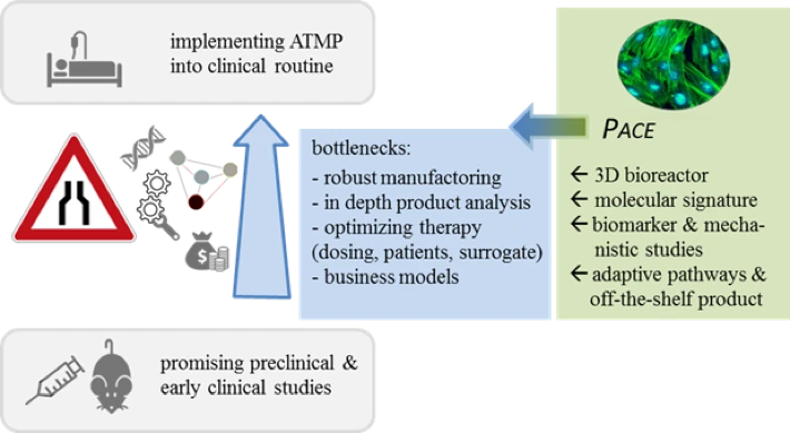 schema
